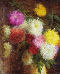 Chrysanten