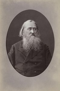 Portret van de dichter Aleksey Nikolayevich Pleshcheyev 1825-1893, 1870