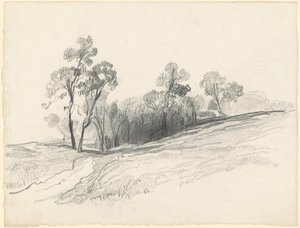 Landschap