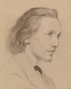 Portret van een man door Severin Falkman