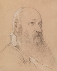 Portret van een man met baard door Severin Falkman