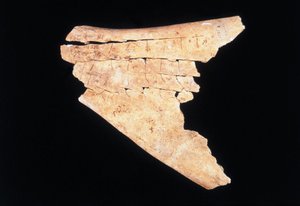 Pictogram op een os scapula met een ritueel om gevaar af te weren