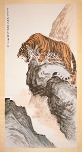 Tijger