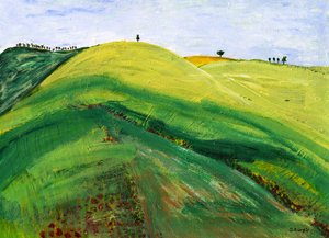 Rustig, glooiend landschap