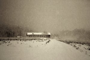  door Sheila Bernard