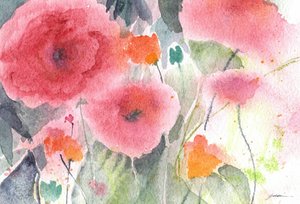Roze papavers in aquarel