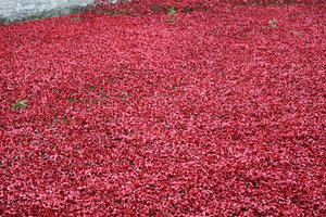 Blood Swept Lands and Seas of Red, Tower of London