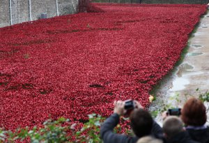 Bloed doordrenkte landen en zeeën van rood, Tower of London