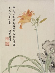 Daglelie uit een bloemenalbum van tien bladeren, 1656 door Shengmo Xiang