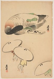  door Shibata Zeshin