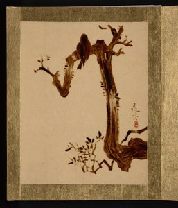 Krähe auf Baum