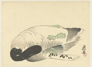 Dode eend naast gevouwen brief door Shibata Zeshin