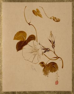 Winde door Shibata Zeshin