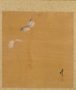 Motten uit Album van Schilderijen door de Eerwaarde Zeshin