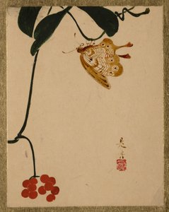 Plant met rode bessen en vlinder door Shibata Zeshin