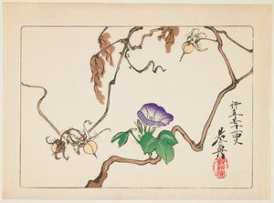 Rank en zaden van de winde door Shibata Zeshin