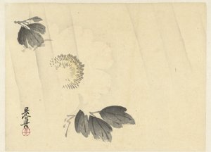 Witte pioenroos in de regen door Shibata Zeshin
