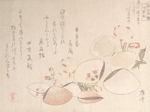 Kersenbloesems en schelpen door Shinsai