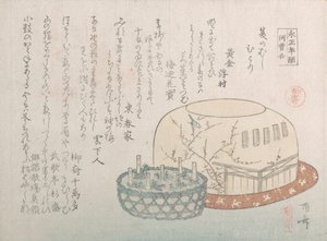Insectenvanger en potkruiden door Shinsai
