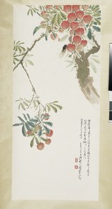 Lychees en cicade