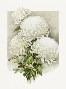 Mevrouw Alpheus Hardy door Sidney Thomas Callowhill