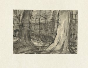 Gezicht tussen bomen door Sientje Mesdag van Houten