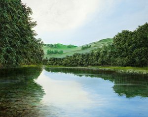 Ongespiegeld land