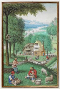 (Hele folio) Kalenderminiatuur voor juni met twee mannen die schapen scheren, met een huisje op de achtergrond
