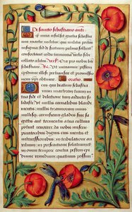 Klaprozen en libel, uit een Getijdenboek door Simon Bening