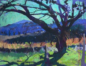Kersenboom schaduw, 2000 (pastel) door Simon Fletcher