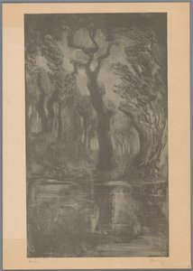 Water in bos