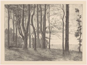 Bomen aan water met zeilboten door Simon Moulijn