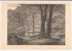 Gezicht op de Hunnenschans op de Veluwe De hunnenschans door Simon Moulijn