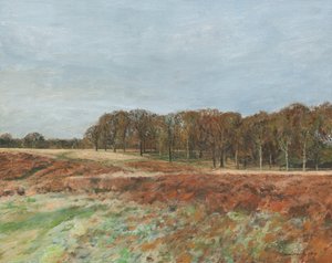 Richmond Park, 2019 (olieverf op doek) door Simon Neville