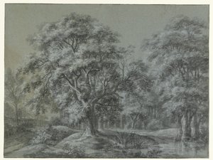 Boslandschap met een water door Simon de Vlieger