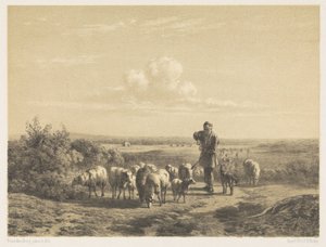 Herder met zijn schapen op de hei