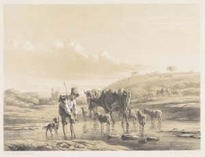 Herdersjongen met kudde in ondiep water