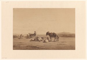 Rustende schaapherder met ezel