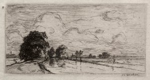 Overstroomd landschap met bomen