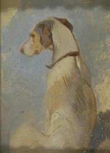 Studie van een Windhond