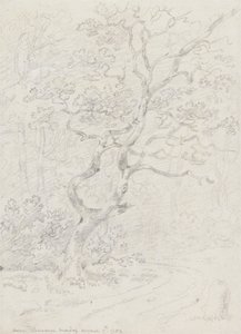 Bomen, nabij Lausanne door Sir George Howland Beaumont seventh Baronet