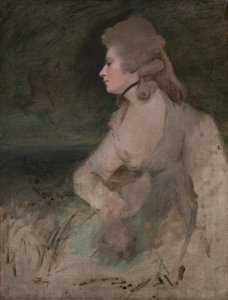 Mevrouw Robinson
