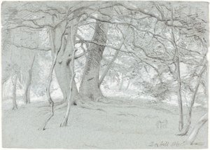 Bomen bij Box Hill door Sir William Blake Richmond