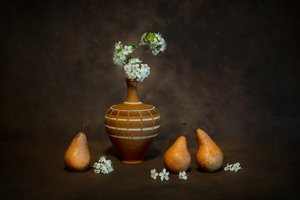 Rustiek stilleven met bloesems door Siyu_Wei APA