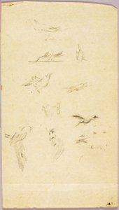 Vogels door Solon H. Borglum