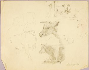 Cows door Solon H. Borglum