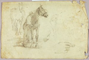 Paard en ruiter