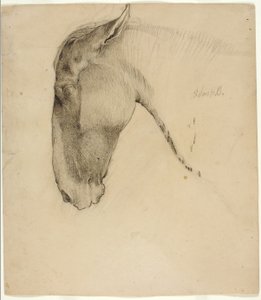 Paardenhoofd