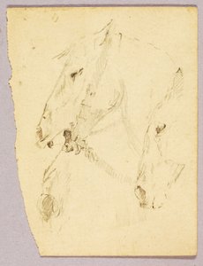 Paardenkoppen door Solon H. Borglum