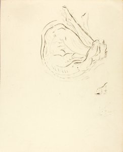 Zwemmer